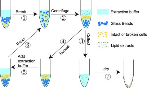 solvent extraction-gravimetric method|Current Analytical Techniques for Food Lipids .